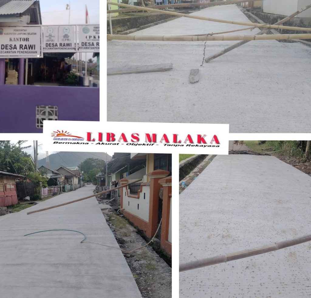 IMG-20251125-WA0095(1)