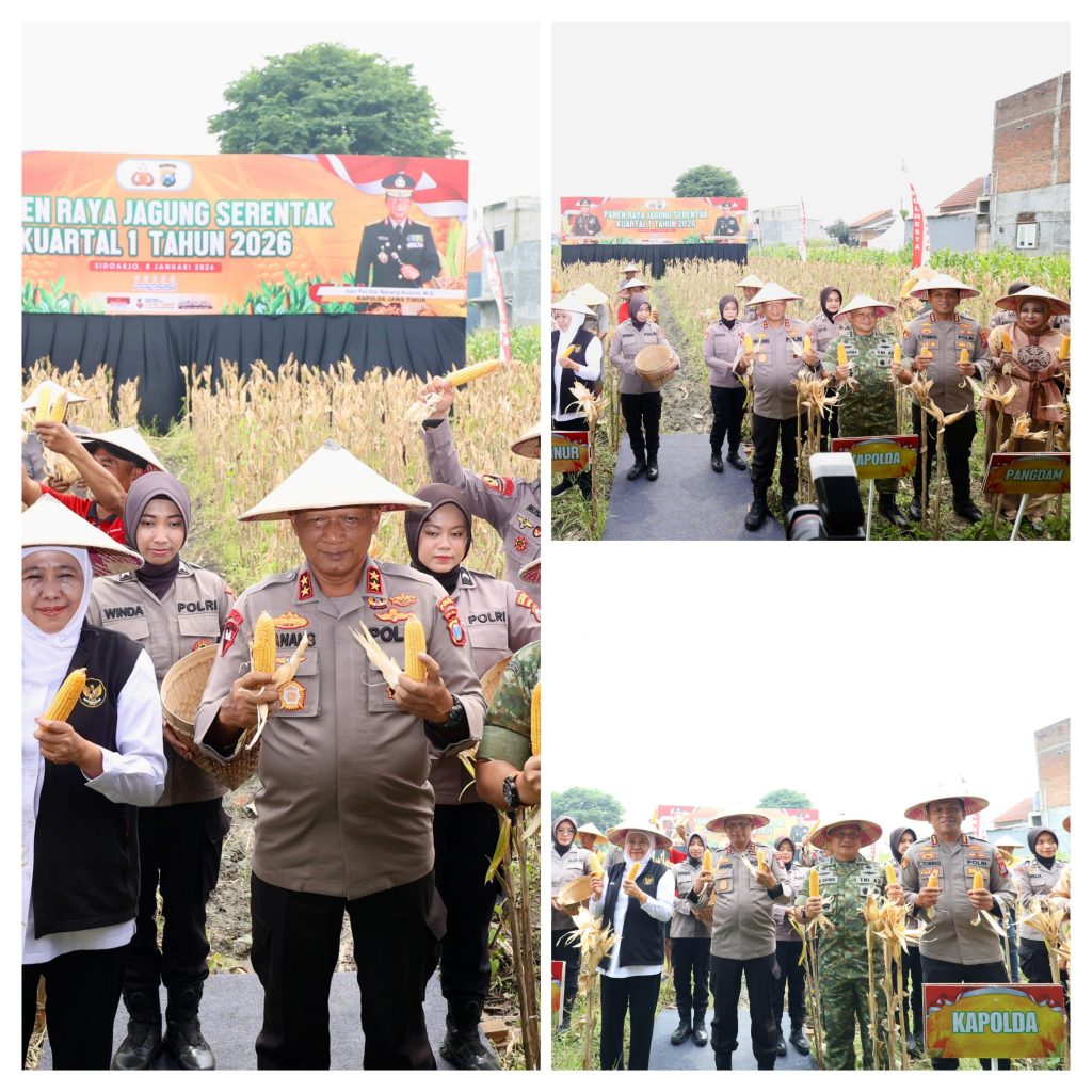 20260108_164751-COLLAGE