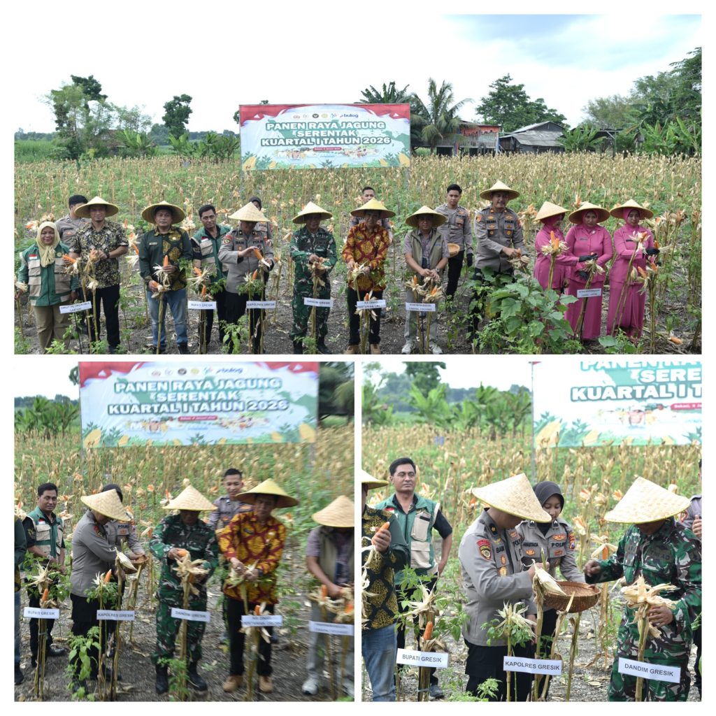 20260108_172334-COLLAGE