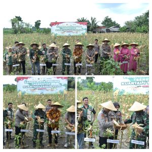 20260108_172334-COLLAGE