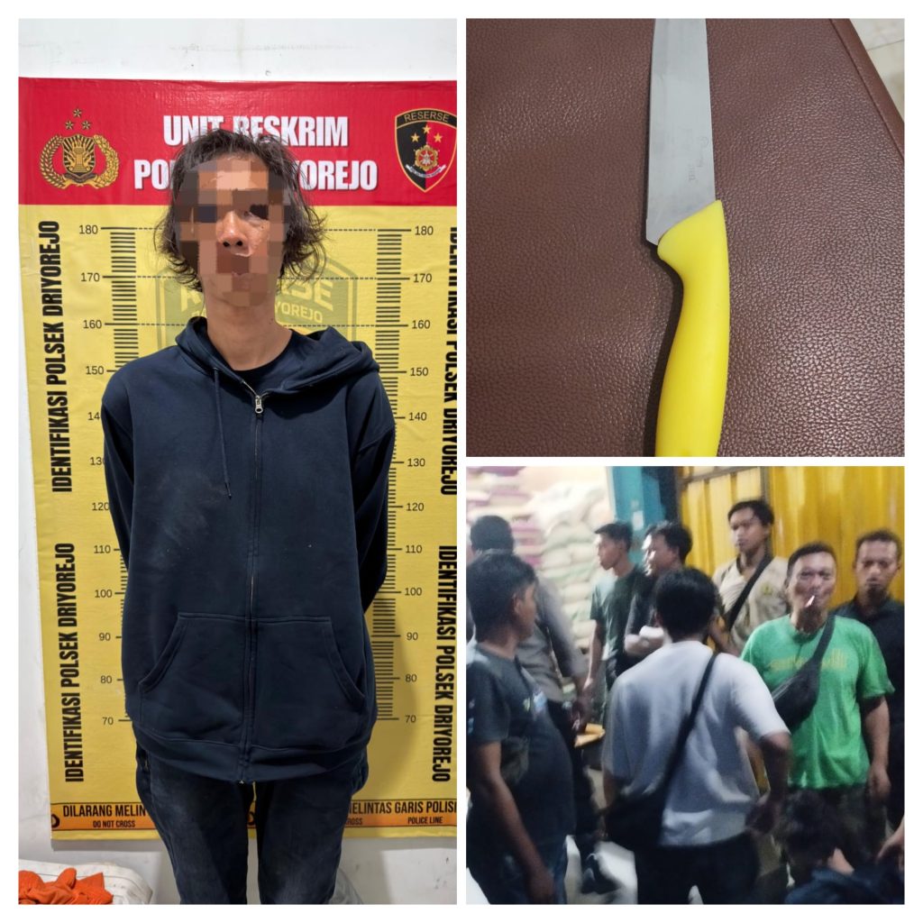 20260118_122837-COLLAGE