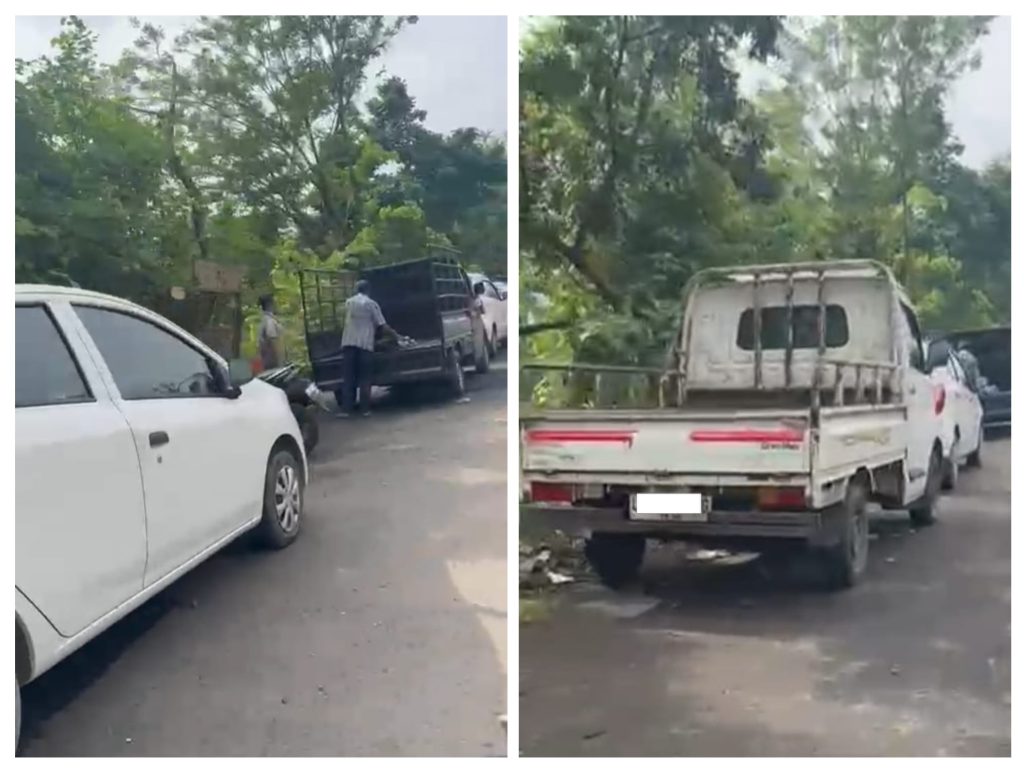 20260123_233546-COLLAGE~2