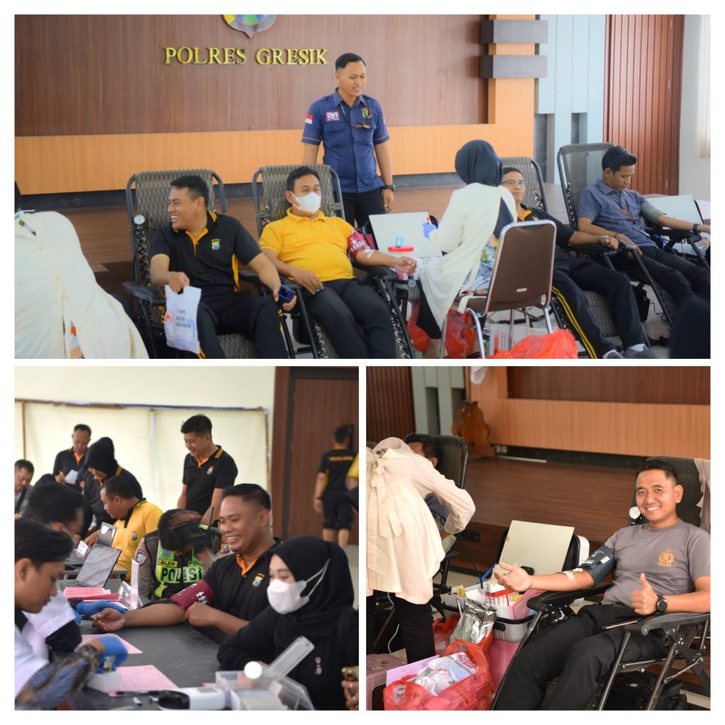 20260124_204126-COLLAGE