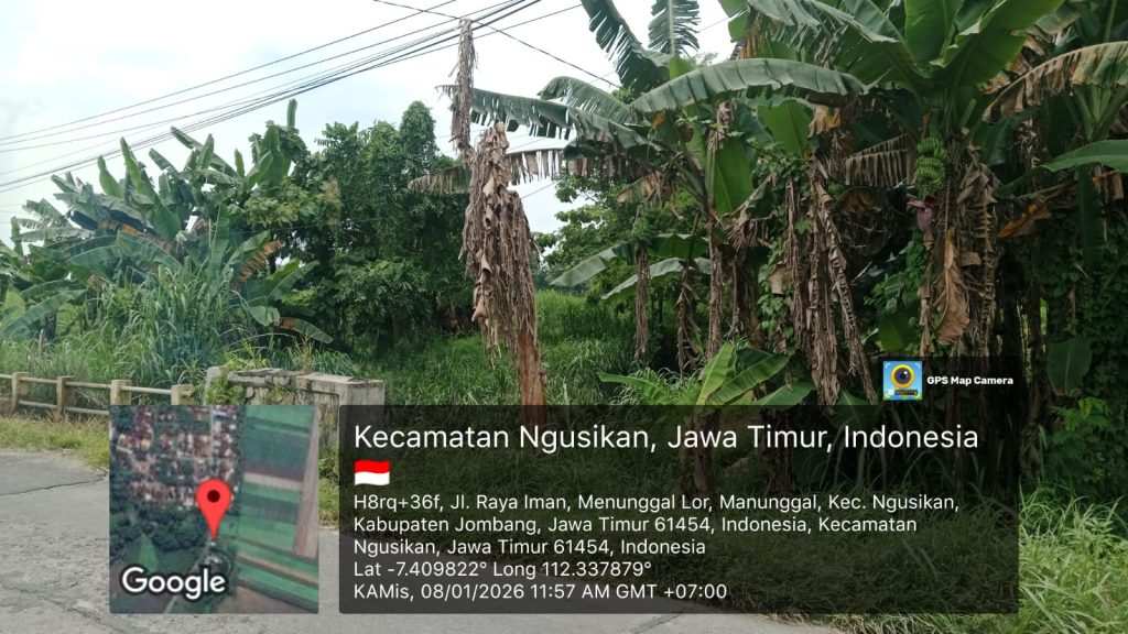 IMG-20260108-WA0019