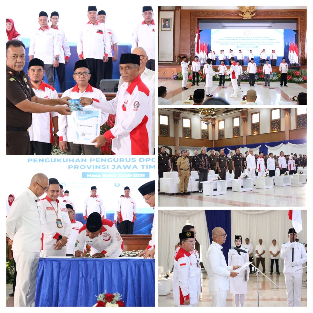 20260225_123857-COLLAGE