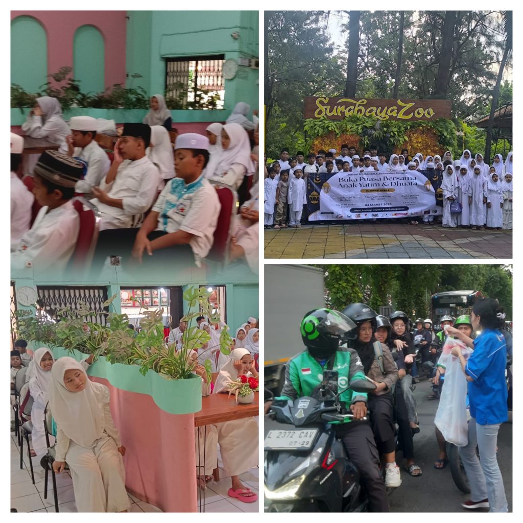 20260305_100623-COLLAGE