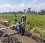 Dari Dusun Kokopan, Babinsa Hadir Mengawal Infrastruktur Pertanian yang Berkelanjutan