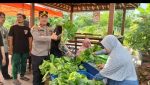 Polres Pelabuhan Tanjung Perak Panen Sawi Caisin Hidroponik, Wujud Nyata Dukung Ketahanan Pangan Nasional