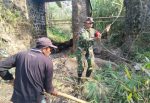 Pembangunan Jembatan Garuda Tahap VII Terus Bergulir, Akses Penghubung Desa Mulai Ditata