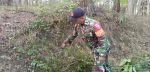 Kerja Bakti: Babinsa Selok Awar Awar dan Warga Bersihkan Jalan Dusun Krajan