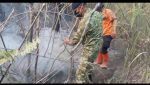 TNI Lumajang Bersama Tim Gabungan Tangani Karhutla di Hutan Pinus Pronojiwo, Enam Hektar Terdampak